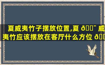 夏威夷竹子摆放位置,夏 🐯 威夷竹应该摆放在客厅什么方位 🐋